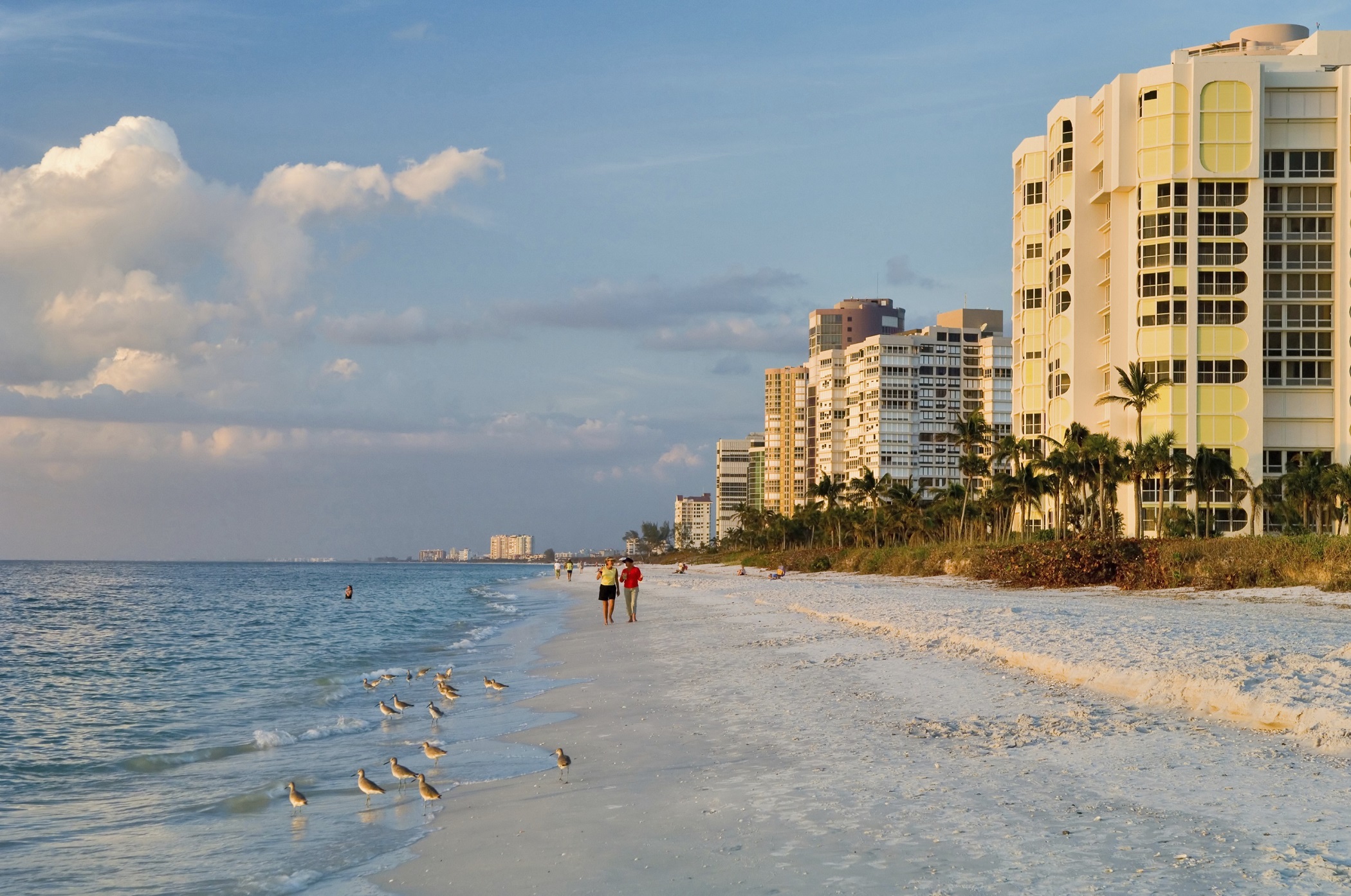 florida gulf coast beach at naples in late afternoon